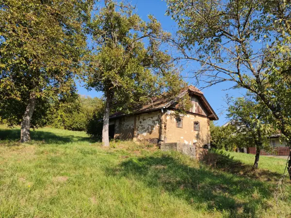 Eladó Gyümölcsös, Kerkateskánd 3847 m² 1.9 M Ft