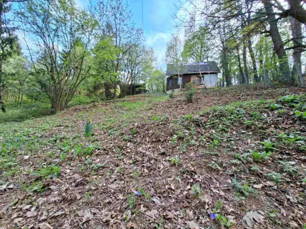 Eladó Gyümölcsös, Kőszeg 1607 m² 12.5 M Ft