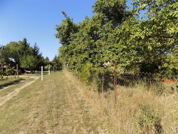 Eladó Gyümölcsös, Pápa 1094 m² 5.99 M Ft