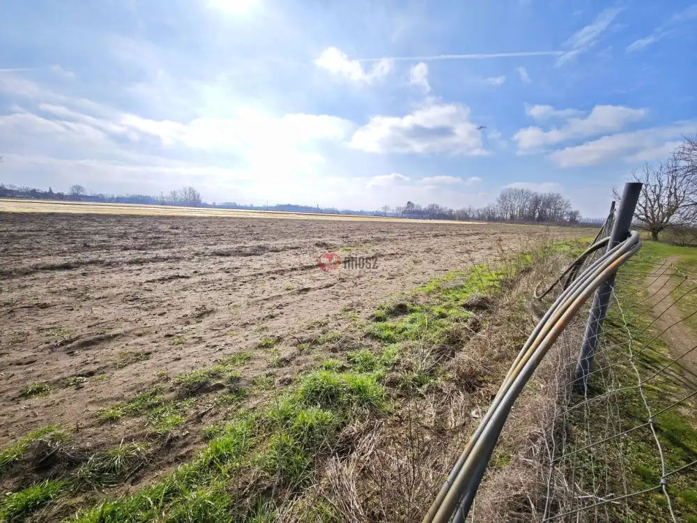 Csongrád megye - Szatymaz