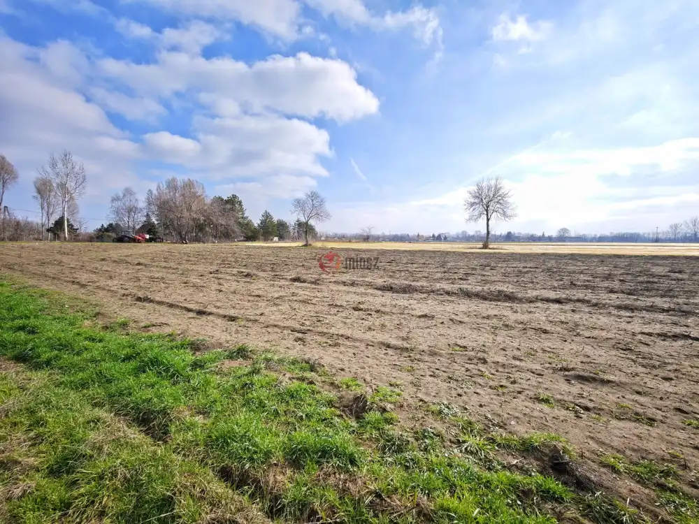 Csongrád megye - Szatymaz