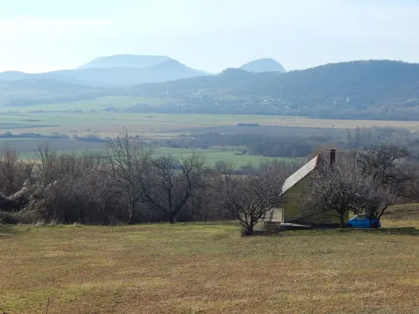 Eladó Gyümölcsös, Szentbékkálla 3905 m² 49.9 M Ft