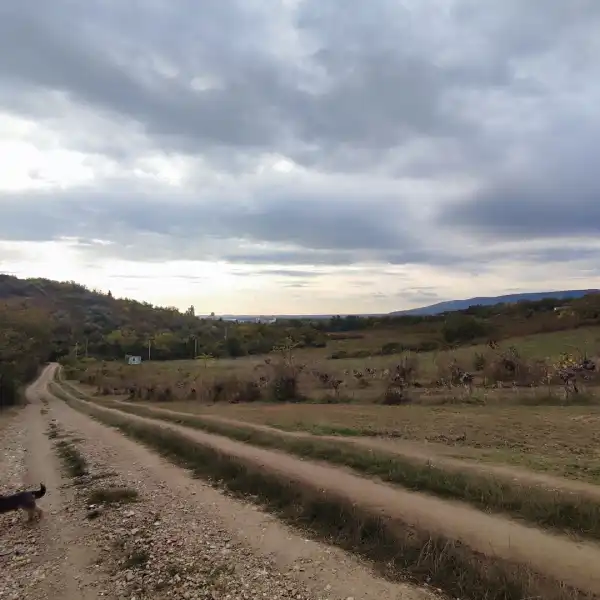 Eladó Gyümölcsös, Vác 813 m² 6 M Ft Eladó Gyümölcsös, Vác 813 m² 6 M Ft