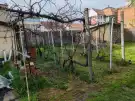 Békés megye - Békéscsaba