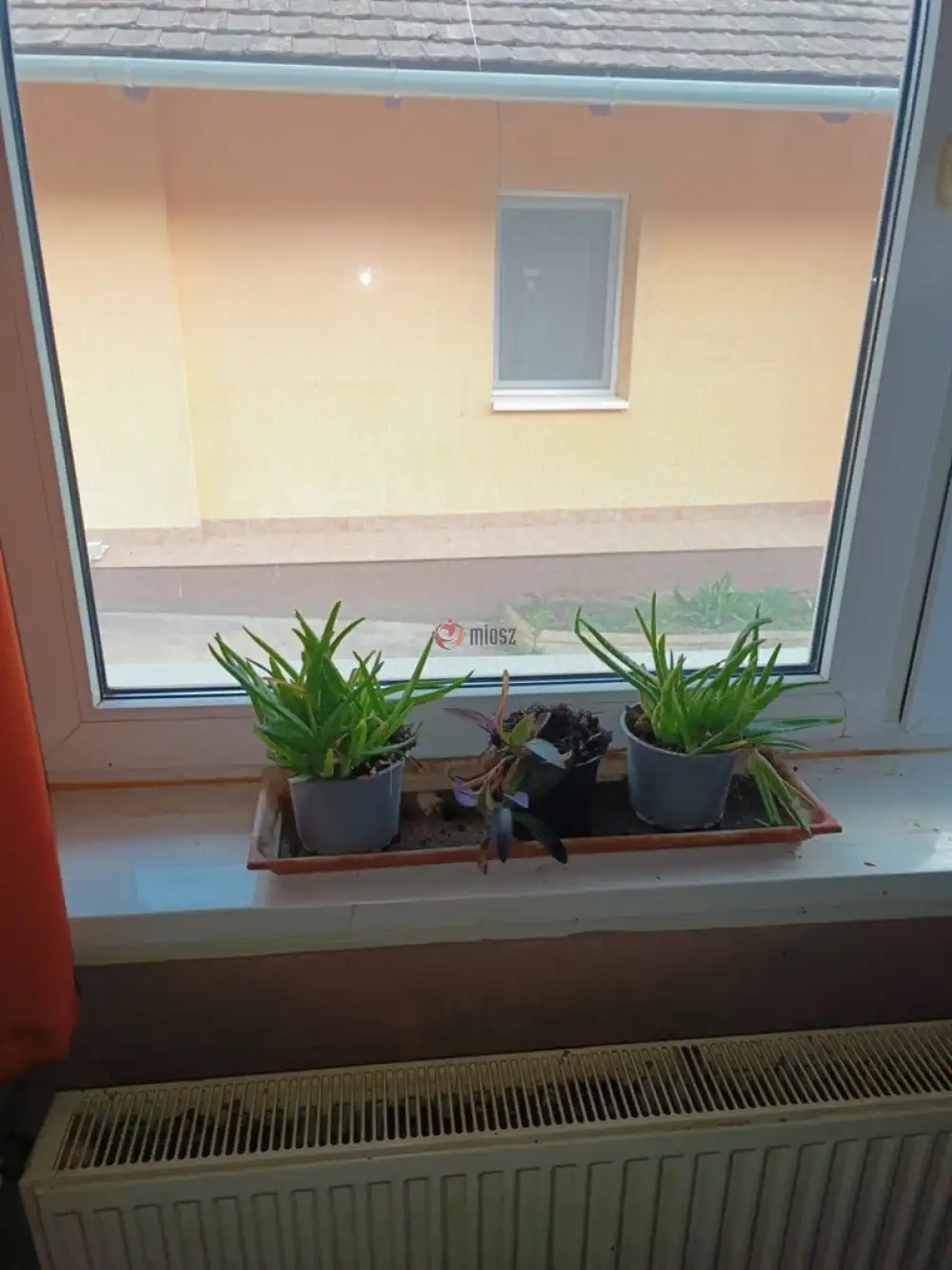 Pest megye - Szokolya