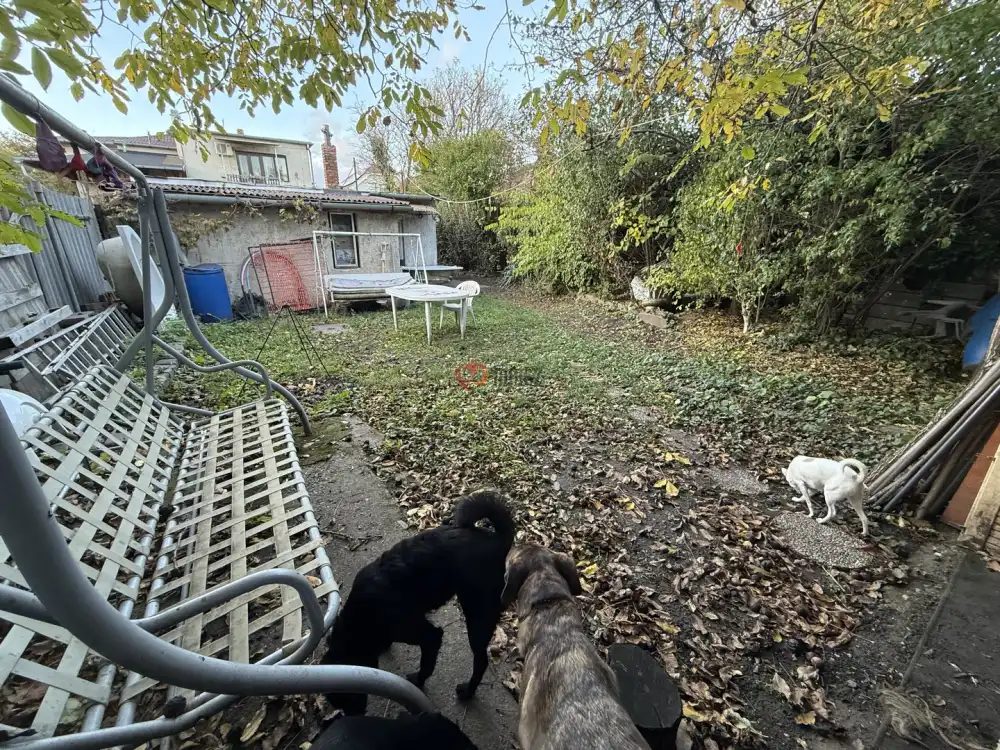 Budapest, XVI. kerület - Rákosszentmihály