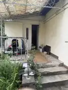 Pest megye - Gödöllő