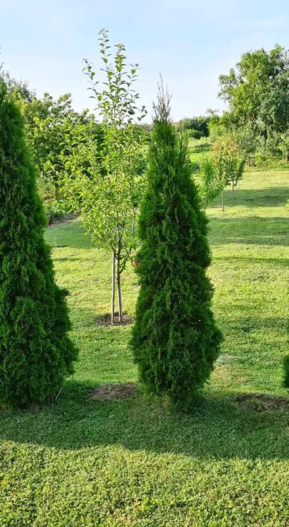 Nógrád megye - Nagyoroszi