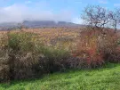 Baranya megye - Pécs