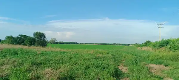 Eladó Ipari és kereskedelmi telek, Dabas 82879 m² 1219.3 M Ft