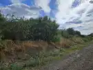 Heves megye - Lőrinci