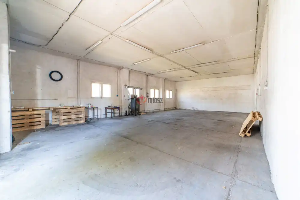 Csongrád megye - Domaszék