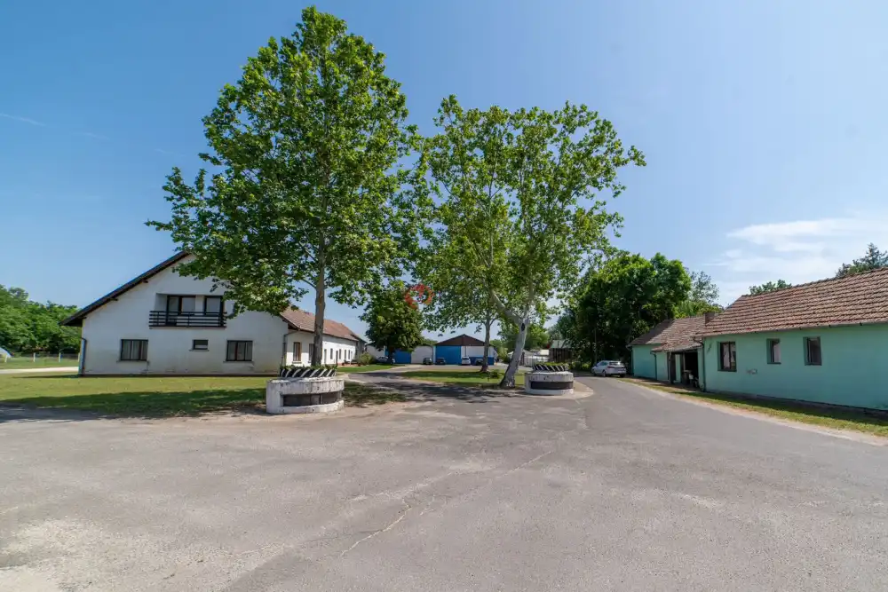 Csongrád megye - Domaszék