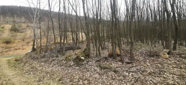 Eladó ipari ingatlan, Füzérradvány 19000 m² 139.9 M Ft