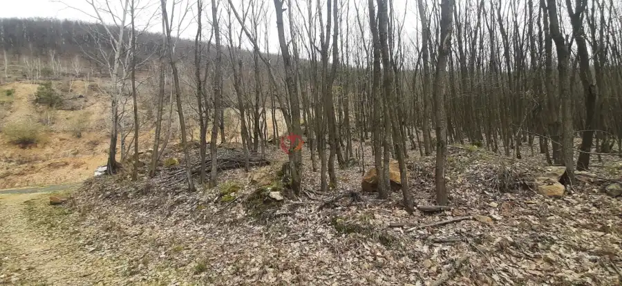 eladó ipari ingatlan, Füzérradvány