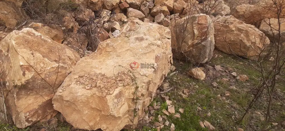 Borsod-Abaúj-Zemplén megye - Füzérradvány