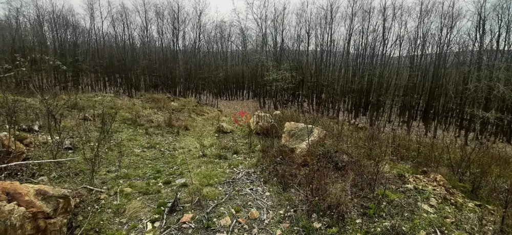 Borsod-Abaúj-Zemplén megye - Füzérradvány