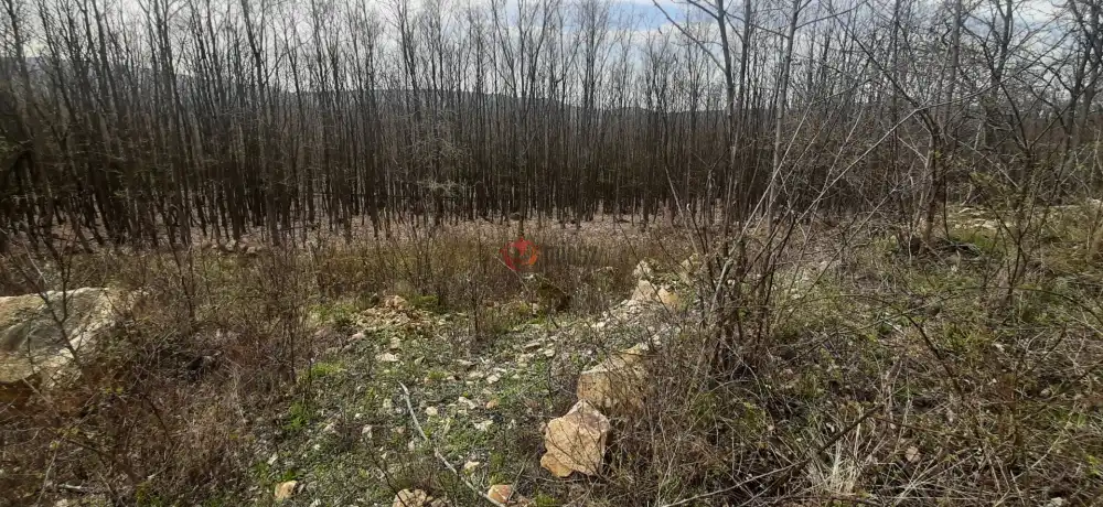 Borsod-Abaúj-Zemplén megye - Füzérradvány