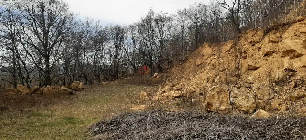 Borsod-Abaúj-Zemplén megye - Füzérradvány