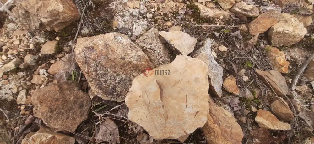 Borsod-Abaúj-Zemplén megye - Füzérradvány