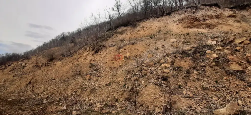 Borsod-Abaúj-Zemplén megye - Füzérradvány