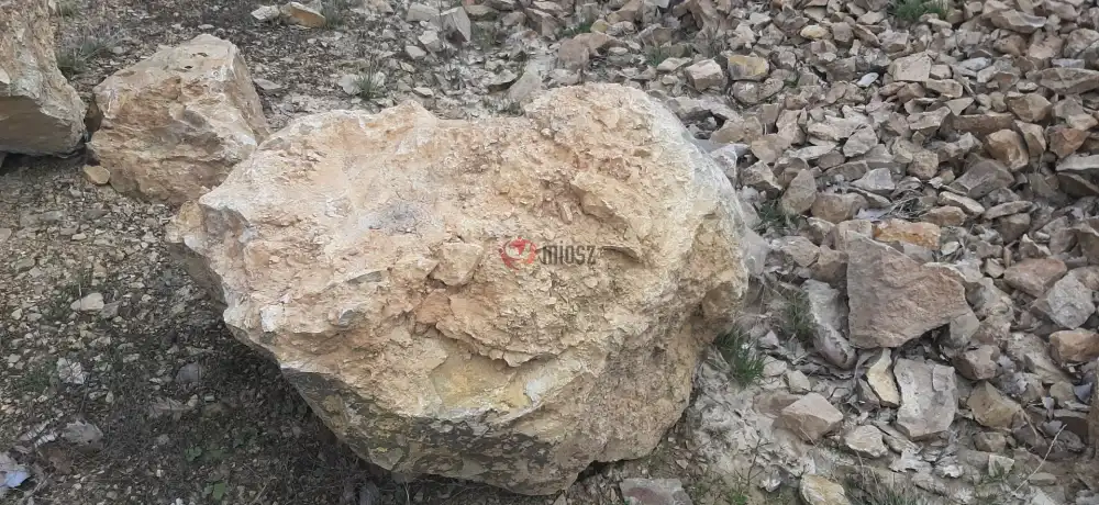 Borsod-Abaúj-Zemplén megye - Füzérradvány