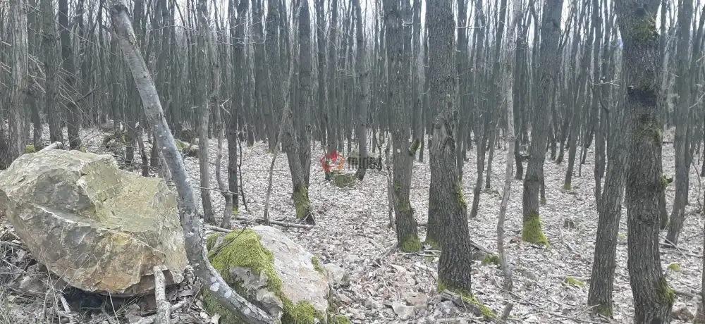 Borsod-Abaúj-Zemplén megye - Füzérradvány