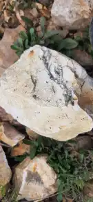 Borsod-Abaúj-Zemplén megye - Füzérradvány