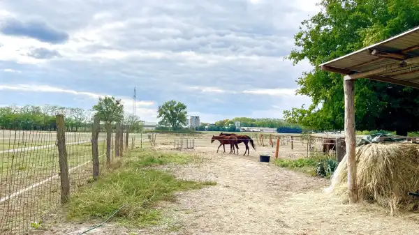Eladó ipari ingatlan, Hernád 80 m² 66.9 M Ft