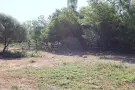 Pest megye - Piliscsaba