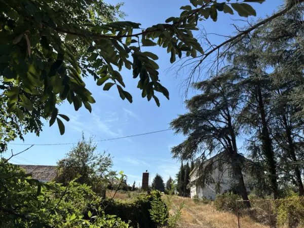 Eladó Ipari telek, Liptód 125681 m² 169.9 M Ft