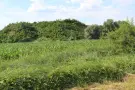 Borsod-Abaúj-Zemplén megye - Sajószentpéter