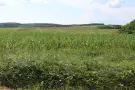 Borsod-Abaúj-Zemplén megye - Sajószentpéter
