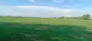 Pest megye - Dabas