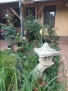 Pest megye - Tóalmás