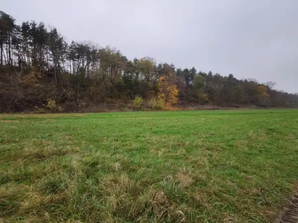 Eladó Legelő, Paks 85 m² 215.63 M Ft