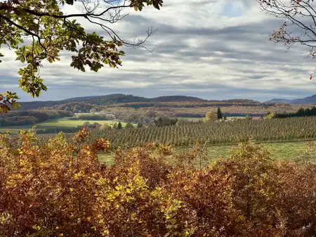 eladó mezőgazdasági ingatlan, Berkenye