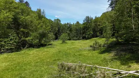 eladó mezőgazdasági ingatlan, Felsőszölnök