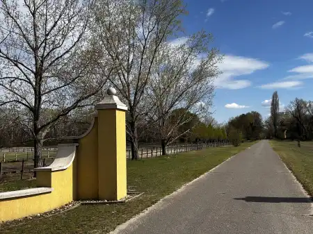 eladó mezőgazdasági ingatlan, Lajosmizse