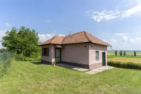 eladó mezőgazdasági ingatlan, Pázmánd