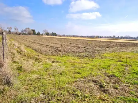 eladó mezőgazdasági ingatlan, Szatymaz