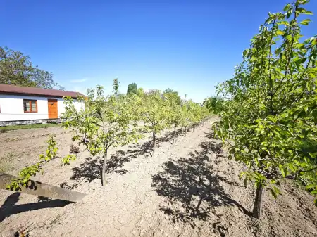 eladó mezőgazdasági ingatlan, Szeged