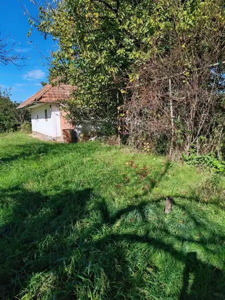 eladó mezőgazdasági ingatlan, Zalaegerszeg