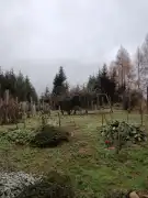 Zala megye - Nagykanizsa