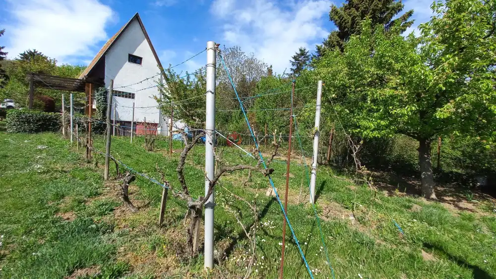 Fejér megye - Alcsútdoboz