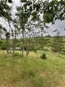 Somogy megye - Balatonföldvár