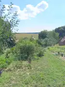 Zala megye - Borsfa