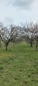 Fejér megye - Csákvár