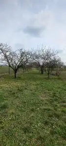 Fejér megye - Csákvár
