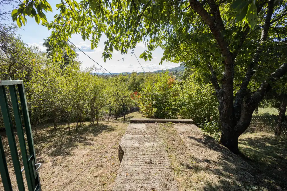 Nógrád megye - Diósjenő